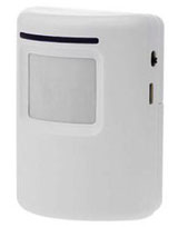 Motion sensor for an alarm system